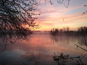 photo © Steve Hartman