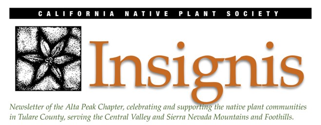 insignisJune2016FINAL