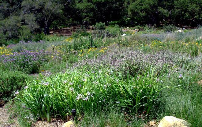 photo by Melanie Keeley