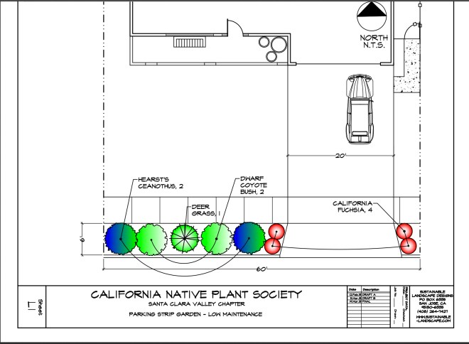 Urban Native Plant Garden Design