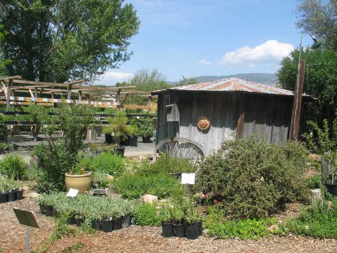 Intermountain Nursery