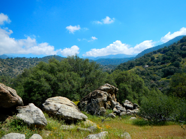 Tule River Drainage © Jessica Orozco