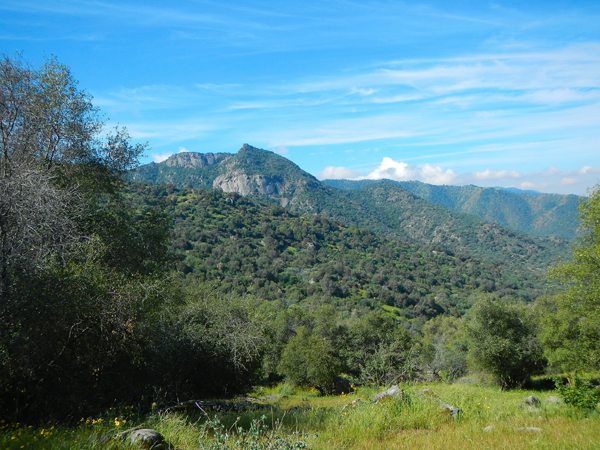 photo © Jessica Orozco