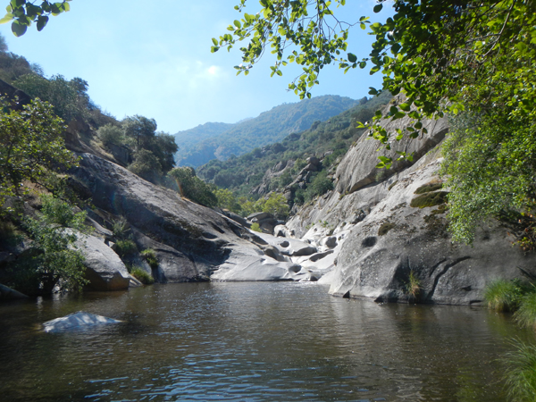 Tule River © Jessica Orozo