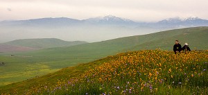 Lewis Hill Preserve © Sequoia Riverlands Trust